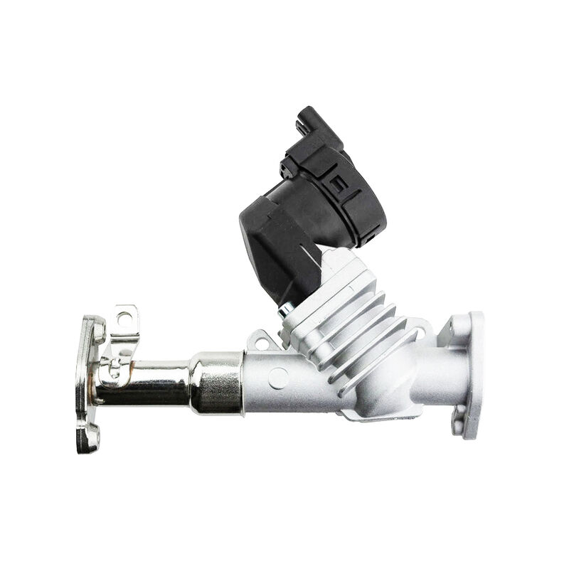 دریچه EGR قطعات خودروی Womala 11717563241 11718479590 برای سری 1/3/5 بی ام و